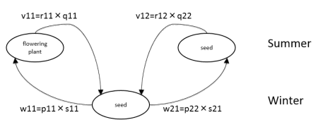 Fig 9. Two-seasonal life cycle diagram